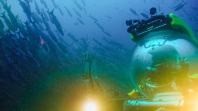 discover-scientific-breakthroughs-using-subsea-imaging