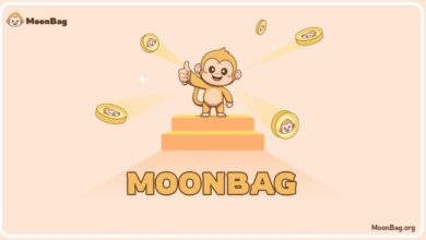 crypto-investors-flock-to-moonbag-as-hot-crypto-under-$0.50-while-brett-and-bitcoin-dogs-surge 